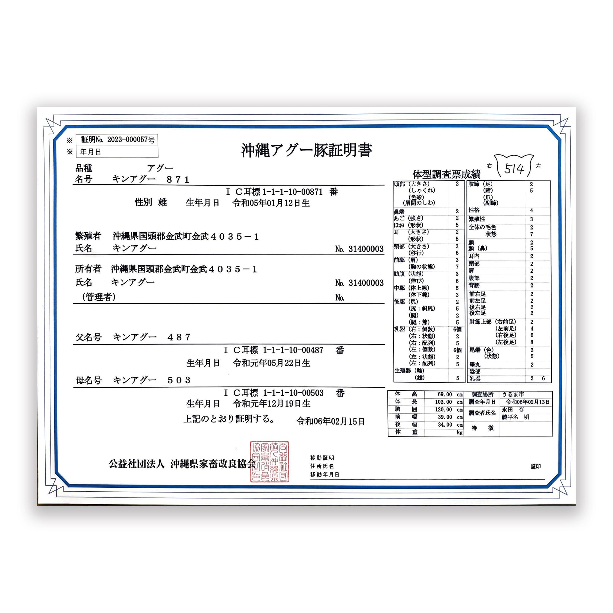 金アグーDNA鑑定証明書